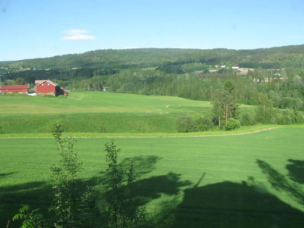 Sogn Gjestegard Svarstad  Habitación foto
