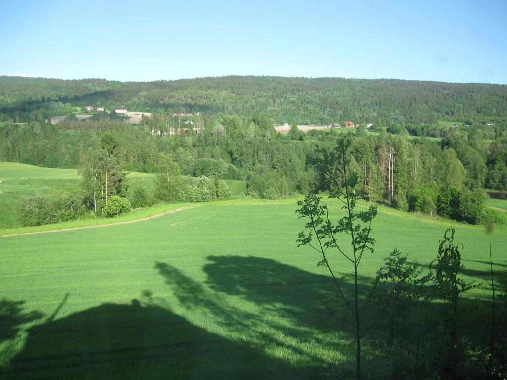 Sogn Gjestegard Svarstad  Habitación foto
